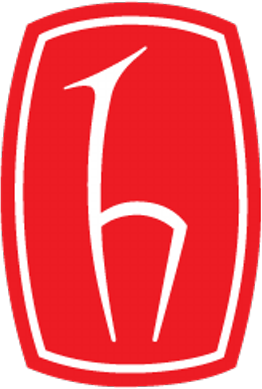 hacettepe logo